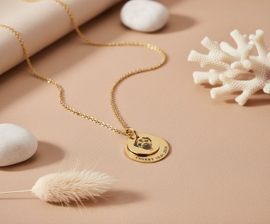 Collar 2 Monedas Mascota