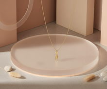 Cargar imagen en el visor de la galería, Collar Conejito Articulado