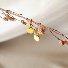 Cargar imagen en el visor de la galería, Arracaditas de Monedita